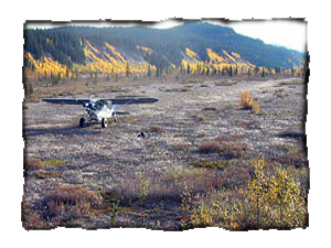 Bush Plane