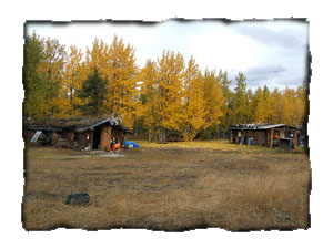 cabins